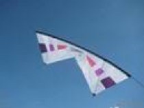 White-Purple